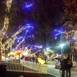 Meet your Posher, Maritza